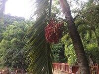 IMG 0727