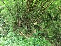 IMG 0728