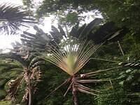 IMG 0730