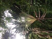 IMG 0731