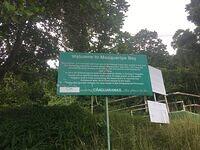 IMG 0732