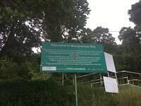 IMG 0733