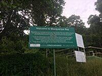 IMG 0733