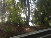 IMG 0734
