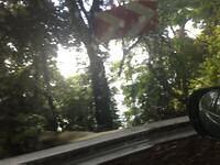 IMG 0735