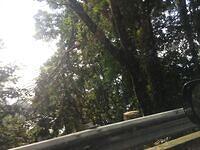 IMG 0735
