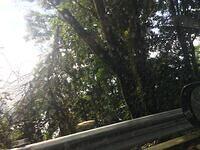 IMG 0736