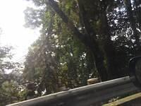 IMG 0737