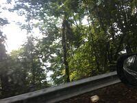 IMG 0737