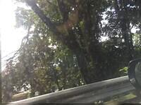 IMG 0738