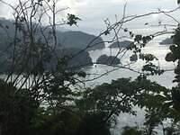 IMG 0740