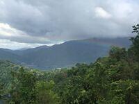 IMG 0747
