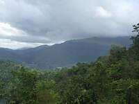 IMG 0747
