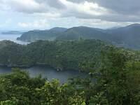 IMG 0750