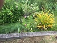 IMG 0753