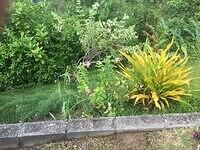 IMG 0753