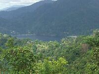 IMG 0755