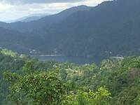 IMG 0755