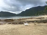IMG 0760