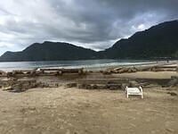 IMG 0761