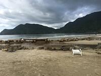 IMG 0762