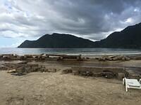 IMG 0768
