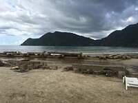 IMG 0768