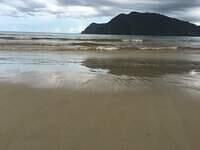 IMG 0790