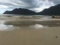 IMG 0791