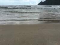 IMG 0805