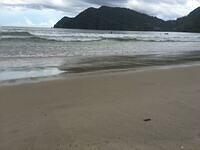 IMG 0809