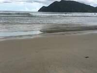 IMG 0809
