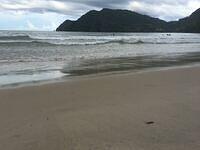 IMG 0810