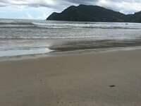 IMG 0810