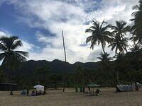 IMG 0824