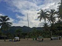 IMG 0825