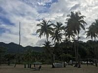IMG 0827