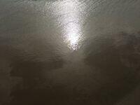 IMG 0851