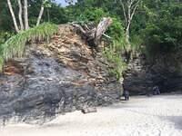 IMG 0866