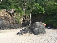 IMG 0867