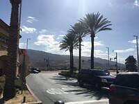 IMG 0969
