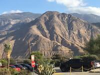 IMG 0984