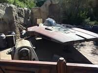 IMG 1003