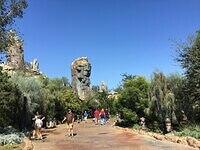 IMG 1008