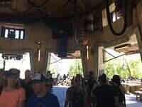 IMG 1030