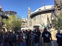 IMG 1033