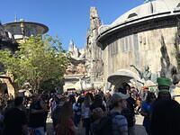 IMG 1033