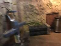 IMG 1120