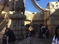 IMG 1133
