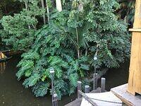 IMG 1147